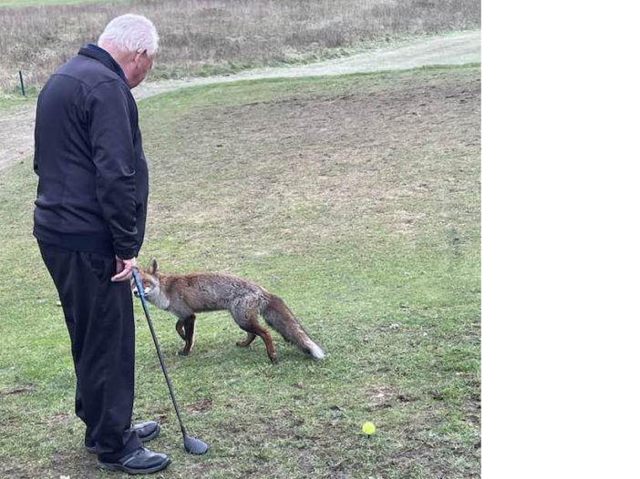 Worthing member Peter Lewendon is engaged by the fox