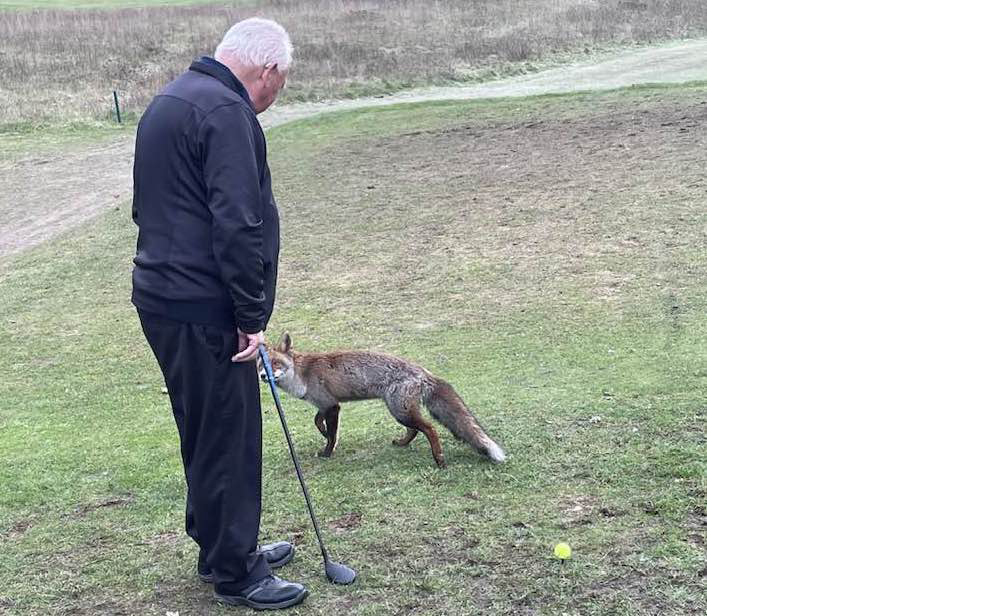 Worthing member Peter Lewendon is engaged by the fox